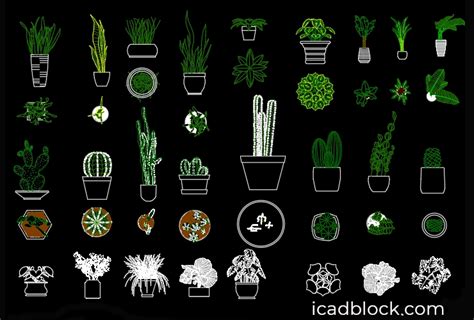 Indoor Plants Cad Blocks In Dwg Full Collection Icadblock