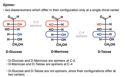 Sugar And Carbohydrate Chemistry Definitions 29 Key Terms To Know