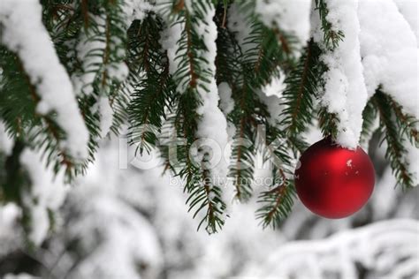 Christmas Ornament On Snowy Pine Tree Stock Photos