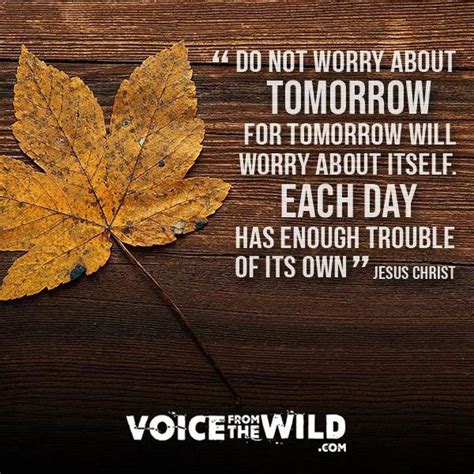 Do Not Worry About Tomorrow For Tomorrow Will Worry About Itself