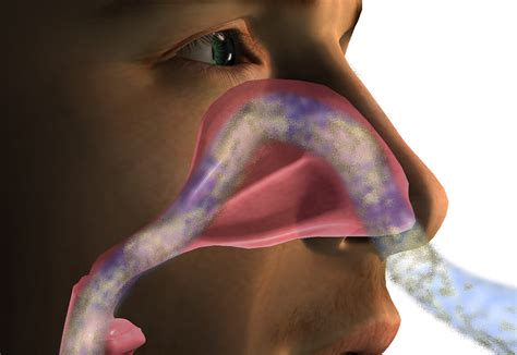 舌のトレーニング｜日吉の歯医者「矢島歯科医院」口呼吸から鼻呼吸へ