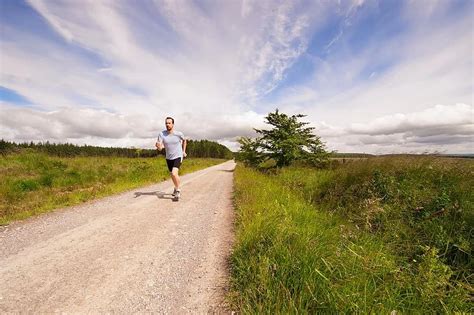 People Man Exercise Jogging Sport Run Road Green Grass Trees