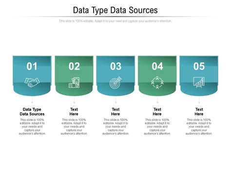 Data Type Data Sources Ppt Powerpoint Presentation Infographics