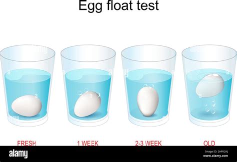 Egg Floating Test How To Test The Age Of Eggs Experiment About Why