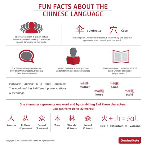 Fun Facts About The Chinese Language Infographic Eton Institute