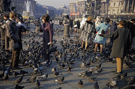 Feeding The Pigeons On Londons Trafalgar Square In 1967 Flashbak