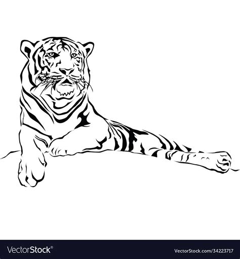 Tiger Sitting Black And White Royalty Free Vector Image