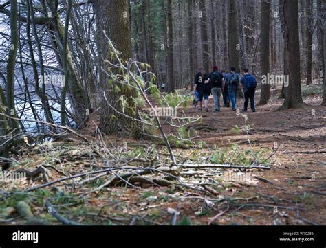 Group Hiking Woods Hi Res Stock Photography And Images Alamy