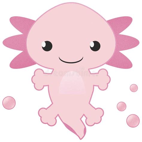 Axolotl Pink Isolated With Four Legs On White Water Animal Stock