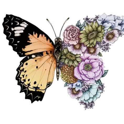 Image May Contain Flower And Plant Butterfly Drawing Drawings