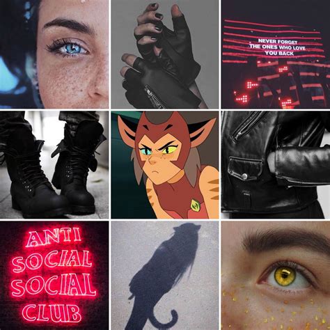 Catra From She Ra And The Princesses Of Power Aesthetic Princess Of
