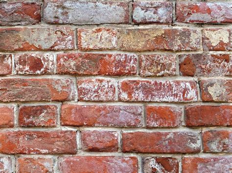 Antique Brick Peel 'n Stick or Traditional Wallpaper | Etsy | Antique brick, Peel and stick ...