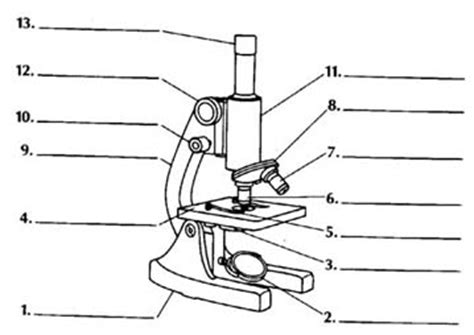 We did not find results for: Free Microscope Drawing, Download Free Microscope Drawing ...