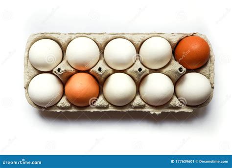 Dozen Eggs In A Pack Stock Image Image Of Intolerance 177639601