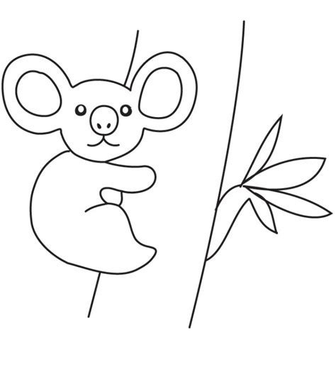 Coloriage Un Bébé Koala Dessin Gratuit à Imprimer