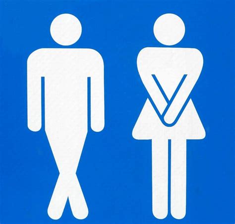 5 Signs You Need To Rent A Porta Potty Fusionsite