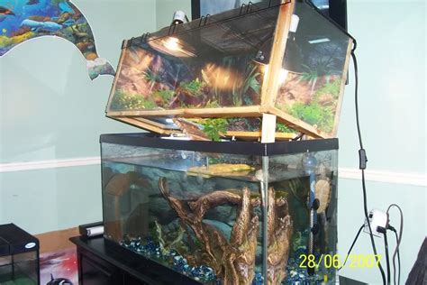Tank Setup Above Basking Indoor Setups Aquariums And Tubs Turtle