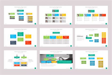 Download 19 View Microsoft Powerpoint Organization Chart Ppt