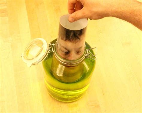 Head In A Jar Prank Head In A Jar Halloween Diy Pranks