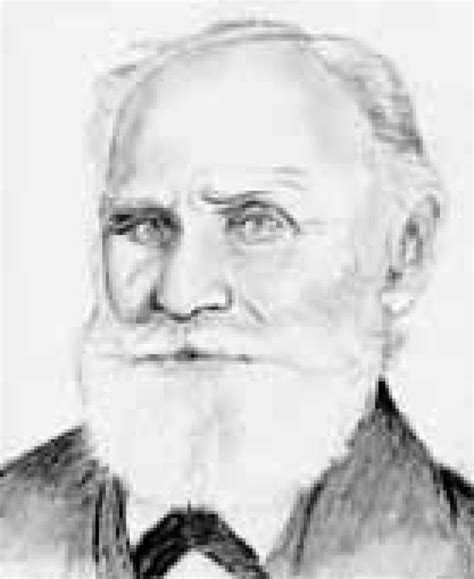 Why Ivan Pavlov Was So Influential In The Field Of Psychology History