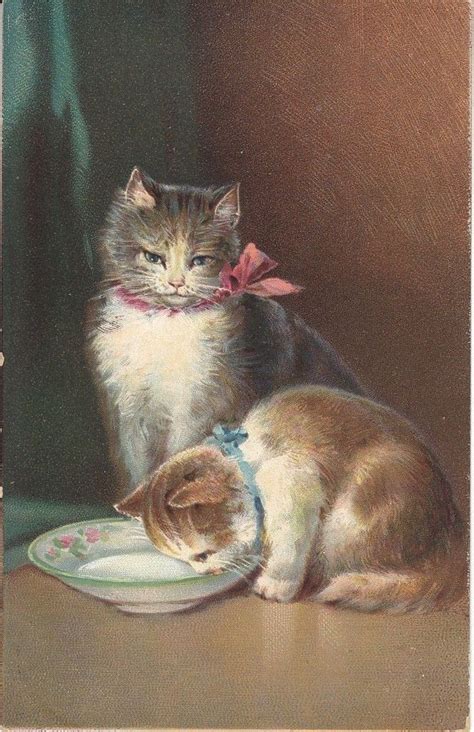 Vintage Images Cats Illustration Vintage Cat Cat Art