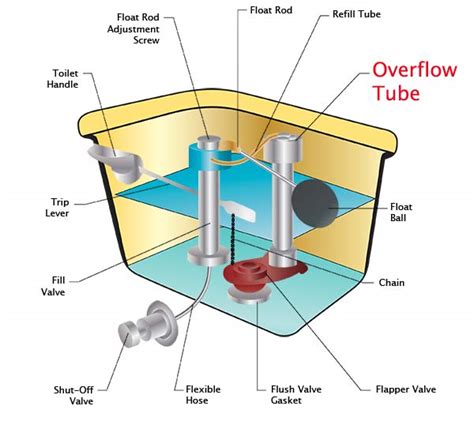 Toilet Overflow Tube Definition Toiletology