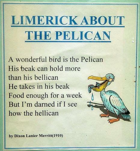 Irish limericks Poems
