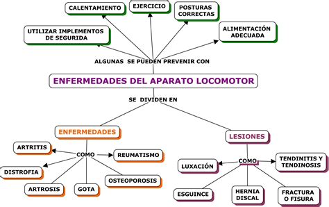 Mapa Conceptual De Enfermedades Del Aparato Locomotor Frases Porn Sex Picture