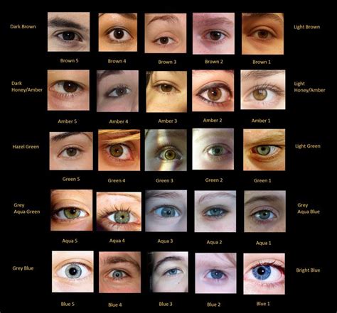 Eye colour chart with photos of real eyes Искусство глаза Искусство