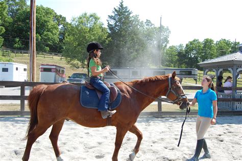 Western Horse Riding Lessons