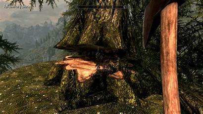Mods Skyrim Woodcutter Tree Nexus Lumberjack Fall