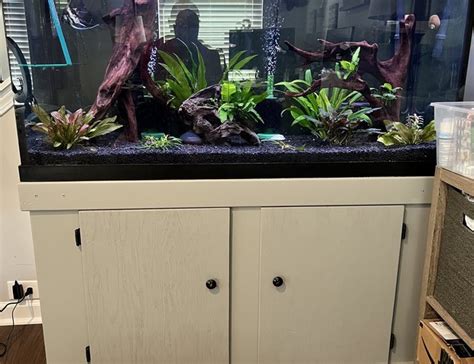 90 Gallons Fish Tanks And Aquariums