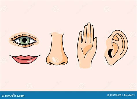 Sense Organs Hand Drawn Mouth And Tongue Eye Nose Ear And Hand Palm