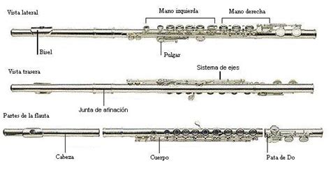 Musical G Ldar Partes De La Flauta Travesera