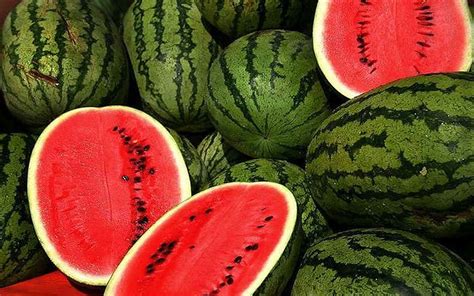 How to Pick a Sweet Watermelon | Feast
