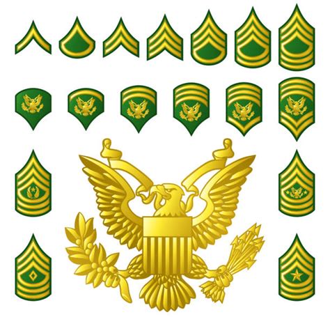 Us Army Enlisted Ranks Illustrations Royalty Free Vector Graphics