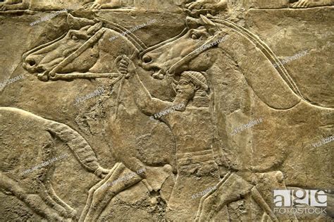 Assyrian Relief Sculpture Panel Of Ashurnasirpal Lion Hunting Stock