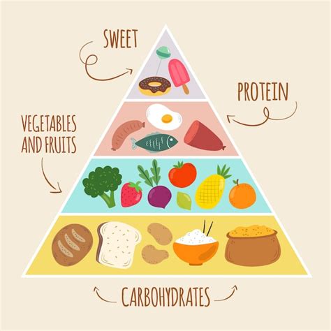 Free Vector Template Of Food Pyramid Concept