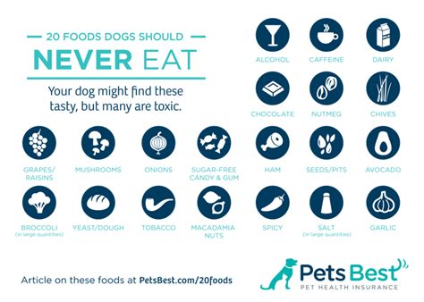 20 Foods Dogs Should Never Eat