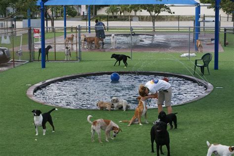 Outdoor Dog Play Area Tips Pamper Your Pooch Like Royalty