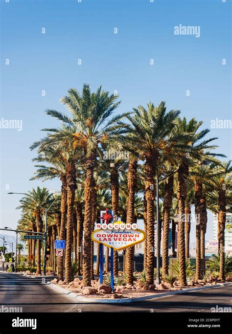 Palm Tree Vegas Hi Res Stock Photography And Images Alamy