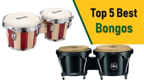 Top 5 Bongos Best Bongos Reviews 2020 Bongos Latin Percussion