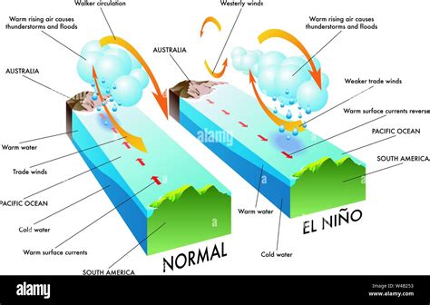 Scientific Illustration Of The Causes And Effects Of A El Niño Stock