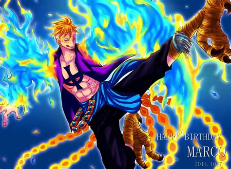 One Piece Marco Wallpapers Top Free One Piece Marco Backgrounds WallpaperAccess