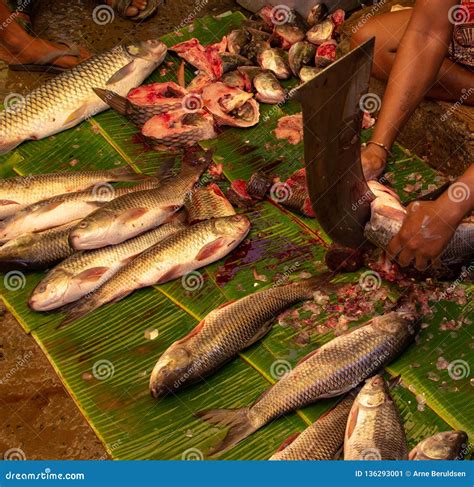 A Local Fish Market In India Stock Image Image Of Local Fresh 136293001