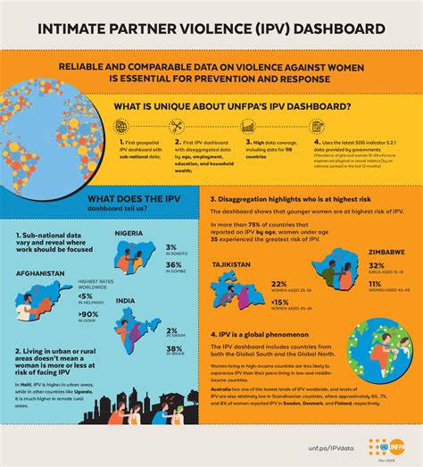 Intimate Partner Violence Ipv Dashboard Infographic
