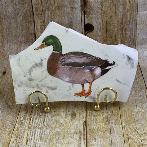 Mallard Drake Duck On Faux Marble Slab With Display Stand Etsy