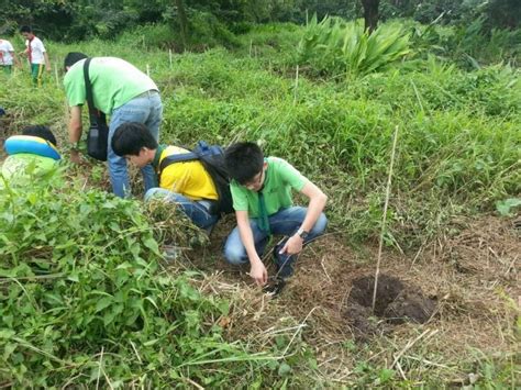 Cksc Scouts Joins Tree Planting World Scouting