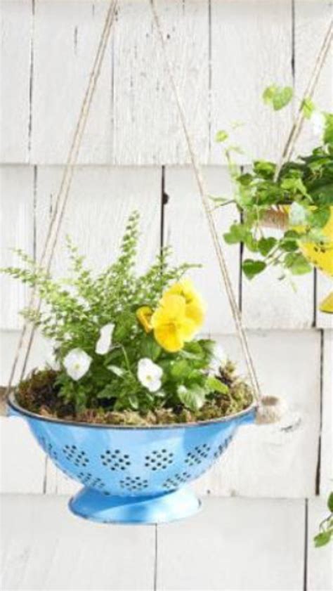 Two Hanging Planters Filled With Yellow And White Flowers