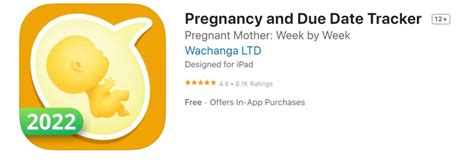 Top 10 Best Pregnancy Apps Every Expecting Mom Needs 2024